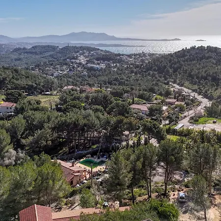 New - Denise - * Bandol