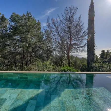 New - Denise - * Bandol